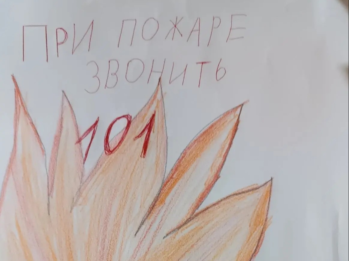 Всероссийская акция «Сохраним лес»: вместе сохраняем будущее наших лесов!.